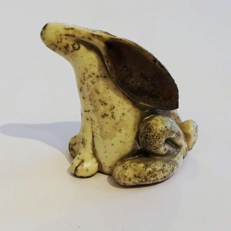 Small Hare
